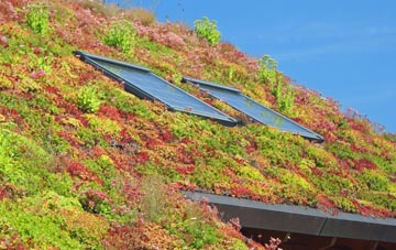 East Claydon living roof systems